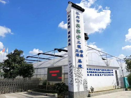 紓難解困，精準服務 賦能農副產品企業(yè)高質量發(fā)展