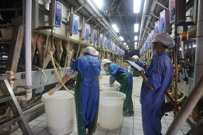 鐘山溫氏乳業(yè) 以生態(tài)養(yǎng)殖實現(xiàn)農經與環(huán)保的雙贏之道